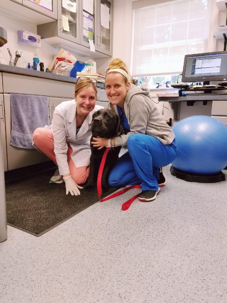 Services Veterinary Dermatology of New England